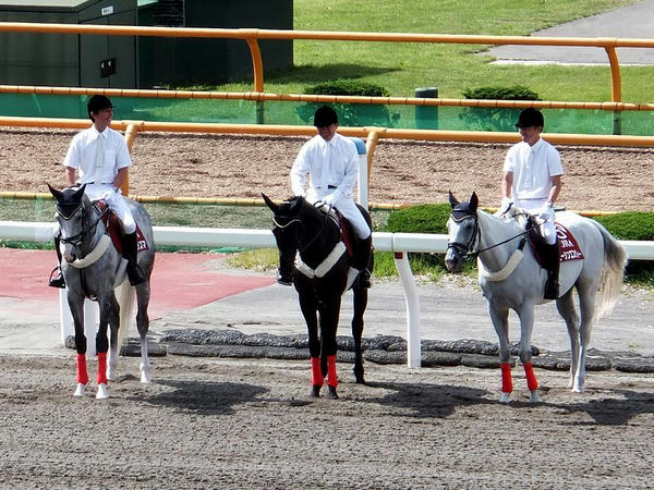 1Rの誘導馬