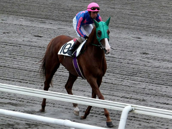 馬場入りする宮平騎手