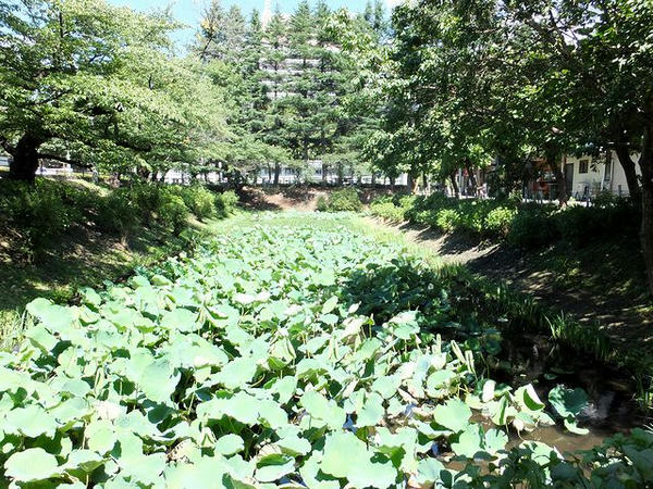亀ヶ池