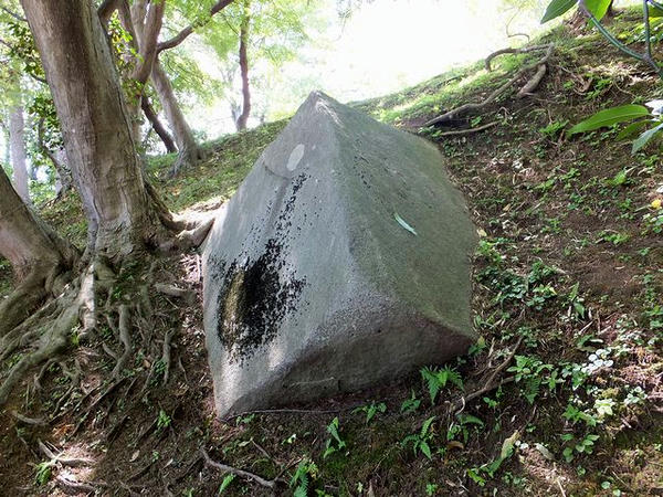 残念石？