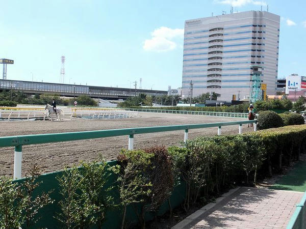 本馬場入場