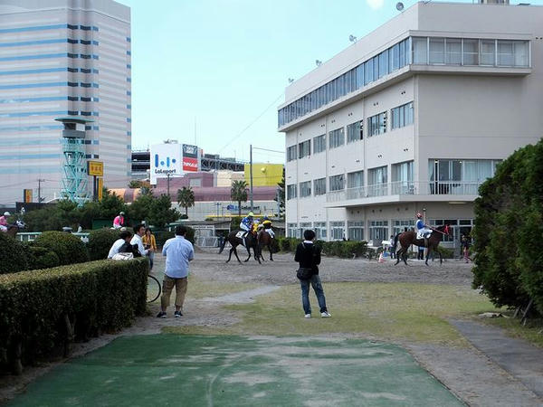 レース後引き上げてくる競走馬と騎手たち