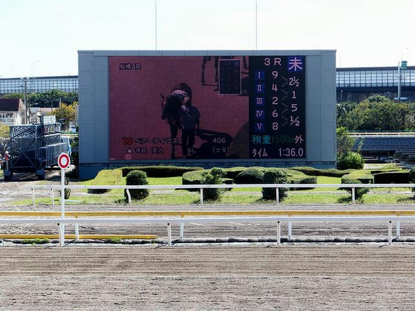 ホースビジョン