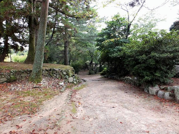 本丸ときたい丸の間あたり