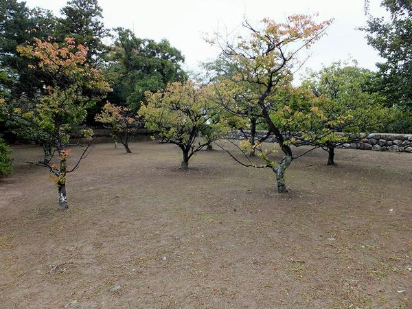 きたい丸