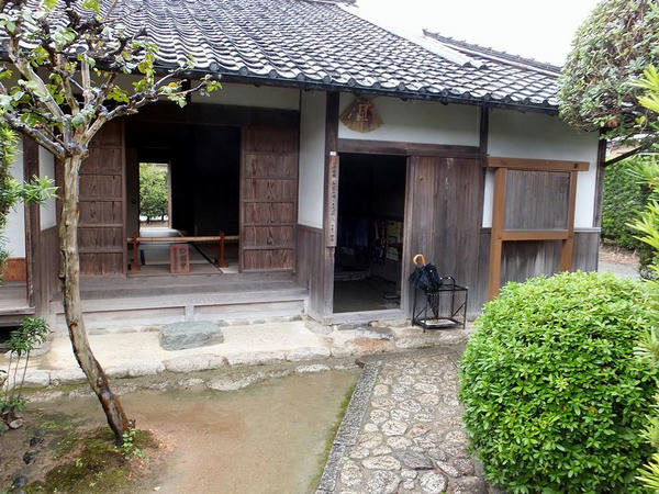 生け垣の内部(1)