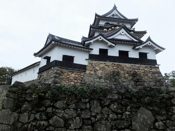 西の丸から見た天守