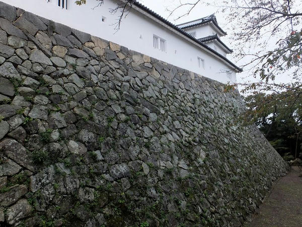 西の丸の高石垣と三重櫓