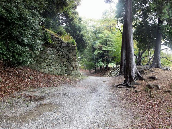 登り石垣の端あたり