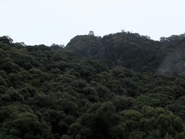 金華山と復興天守