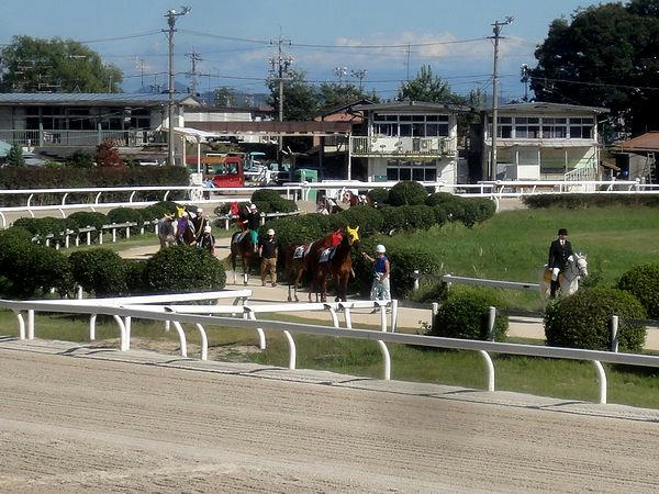 装鞍所からパドックに向かう競走馬