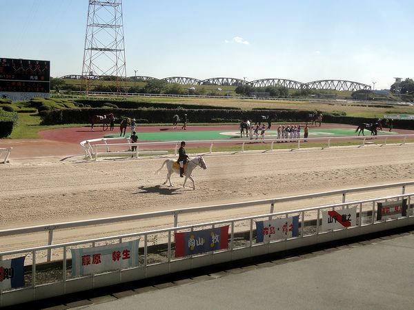 整列する騎手達と入場する誘導馬