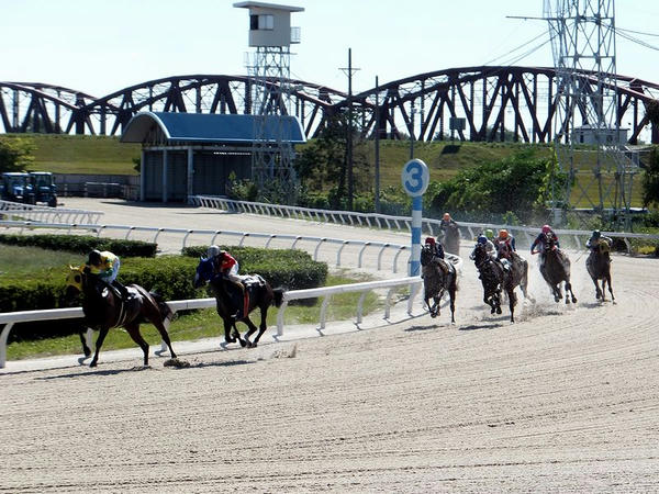 4コーナーを回る競走馬