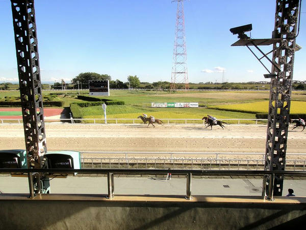 中央スタンドから見たコース内の田んぼと高圧鉄塔