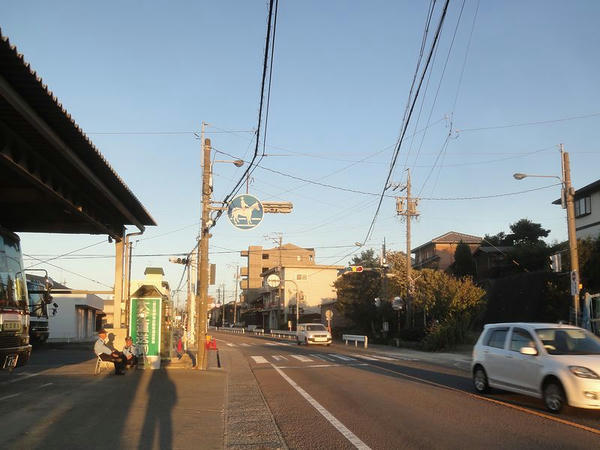 競馬場近くの競走馬も横断する横断歩道