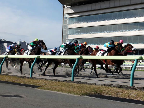内馬場から見た1R最後の直線！