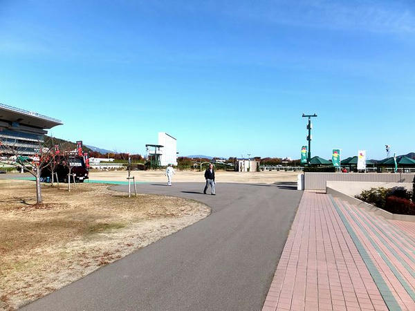震災前より寂しくなってしまった馬場内広場