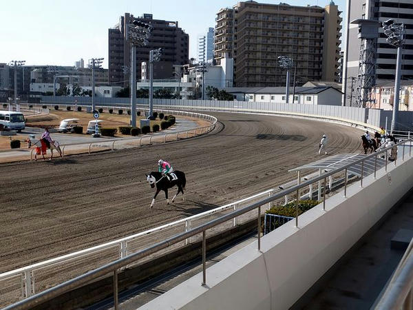 本馬場入場（1R）