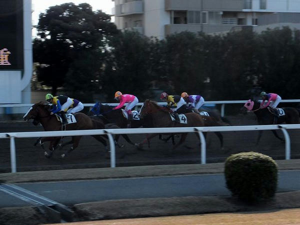 バックストレッチを走る競走馬（5R）