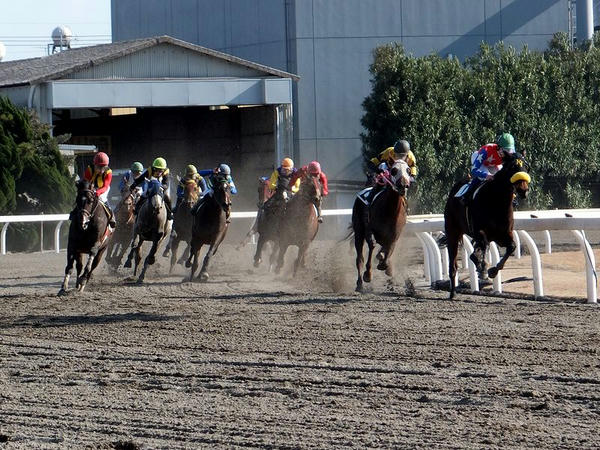 コーナリングする競走馬（3R）