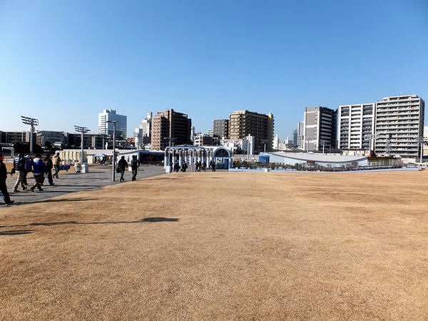 馬場内の芝生広場