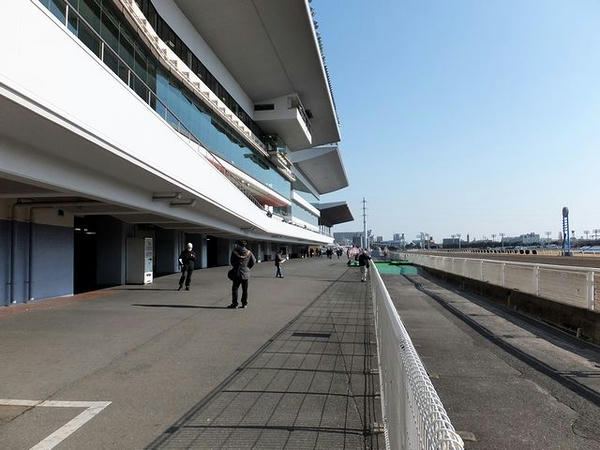 開場直後のホームストレッチ前