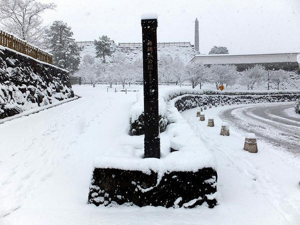 雪の舞鶴城公園