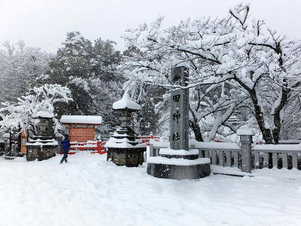 雪の武田神社