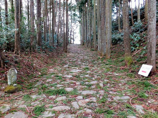 箱根旧街道の石畳
