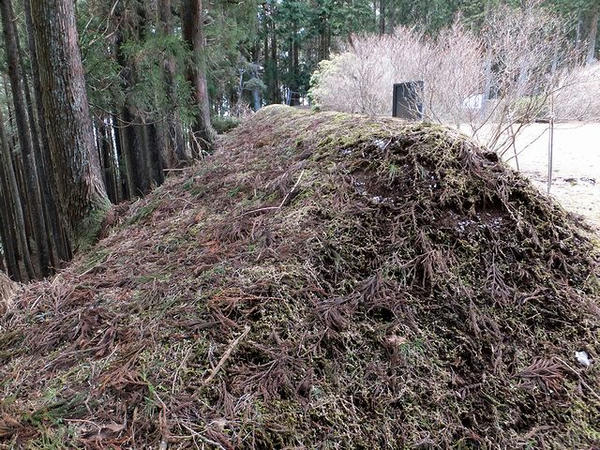 北ノ丸の土塁