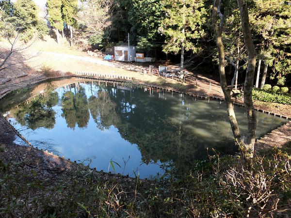 箱井戸