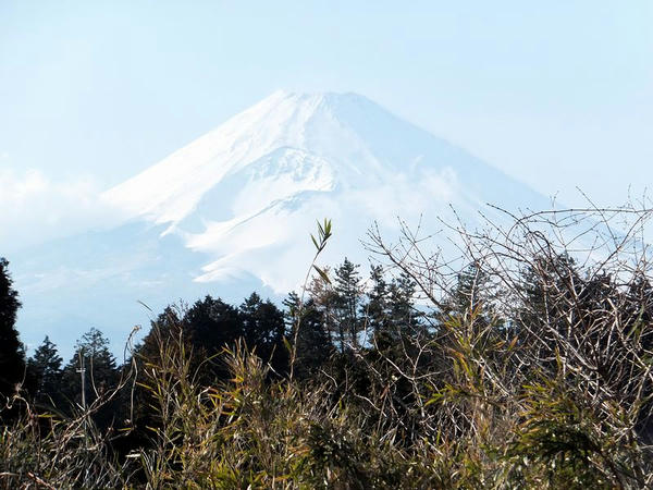 岱崎出丸から見た富士山