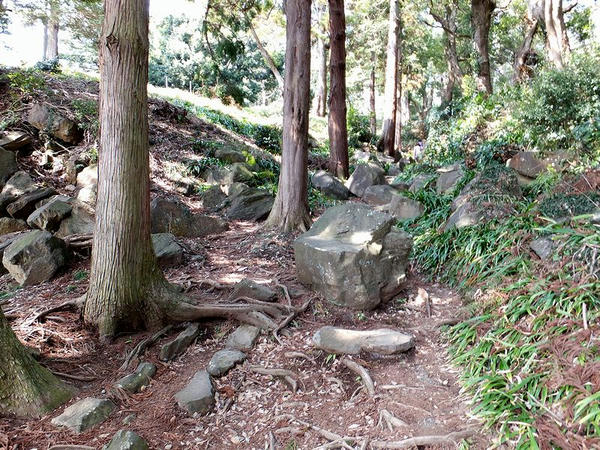 石の転がる道
