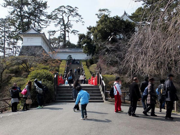 常盤木門全景
