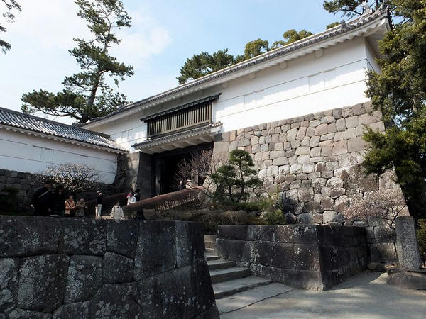 常盤木門