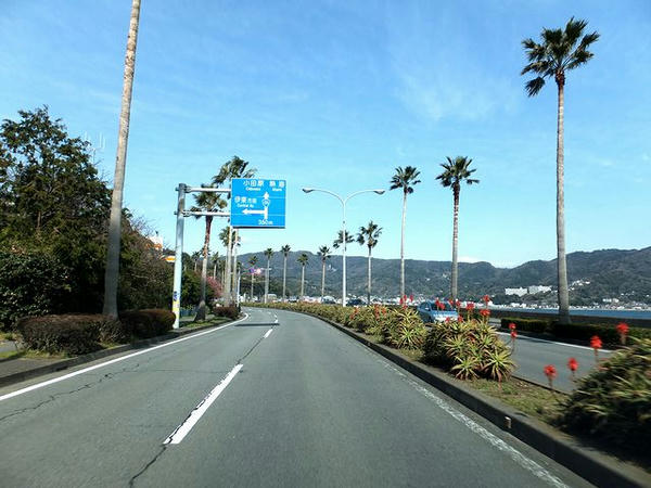 国道135号走行中