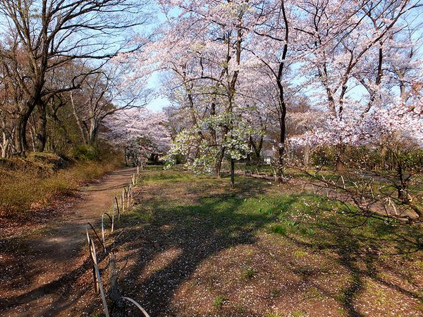 二の丸