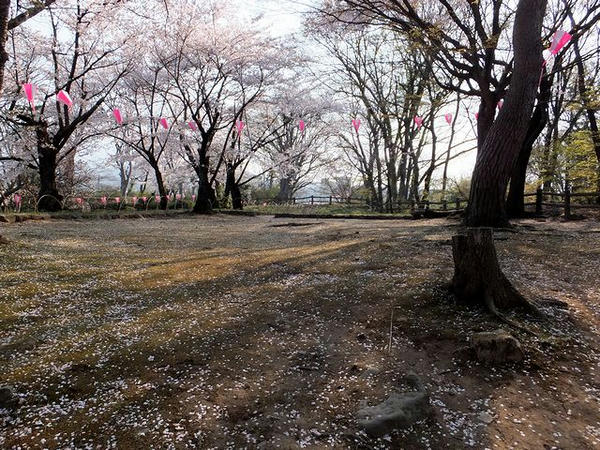 南丸跡