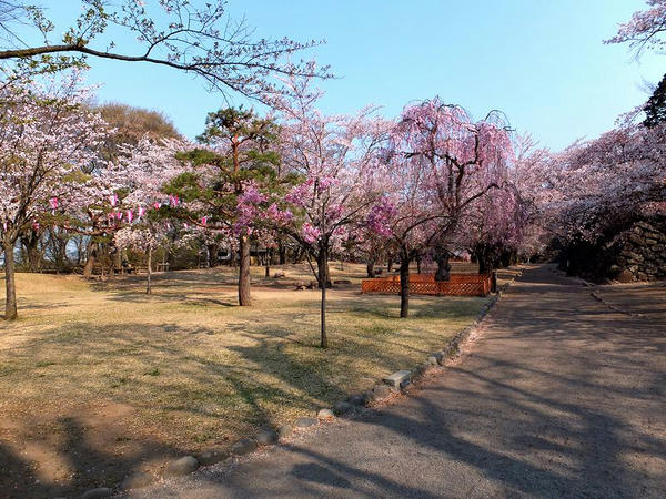 馬場