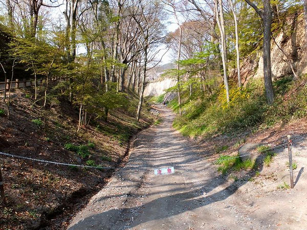 懐古園入口付近から見た木谷