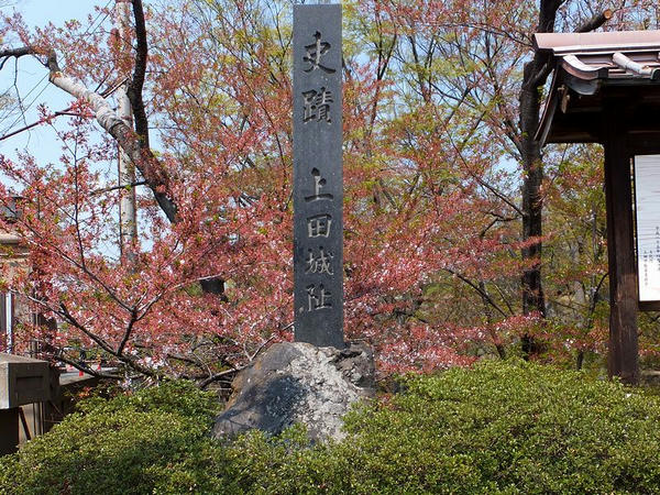 史蹟 上田城址の石碑