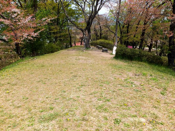 二の丸西端の土塁