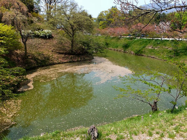 本丸堀東北角部にある隅欠（すみおとし）