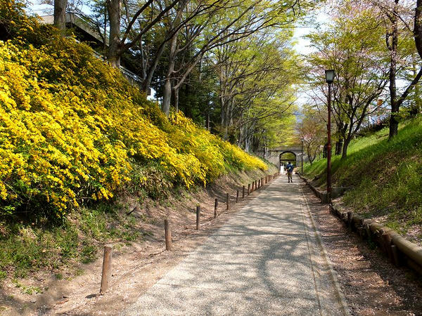 現在は遊歩道「けやき並木遊歩道」になっている線路跡