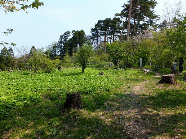 上杉景勝屋敷跡