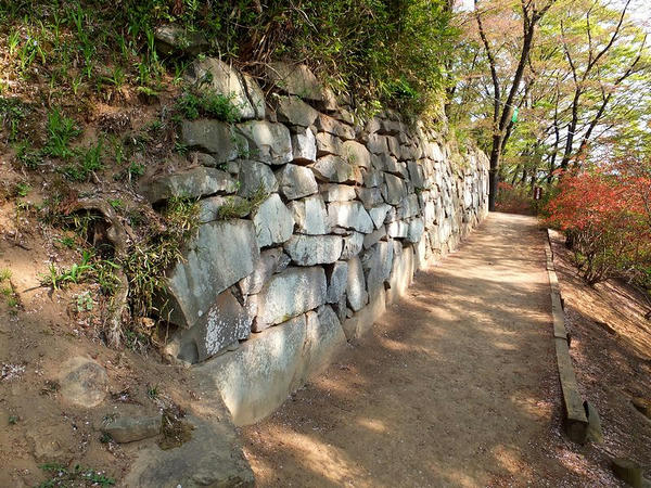 西櫓台の石垣と石段その2