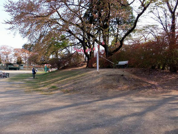 野球場を取り囲む土塁？