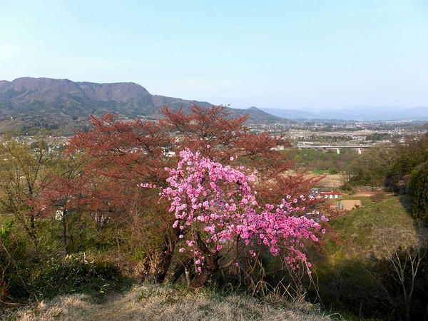 袖郭からの景色