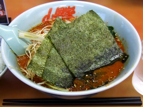辛味噌ネギラーメン（激辛・脂普通・味薄目・麺普通） 790円 ＋ 半ライス 110円
