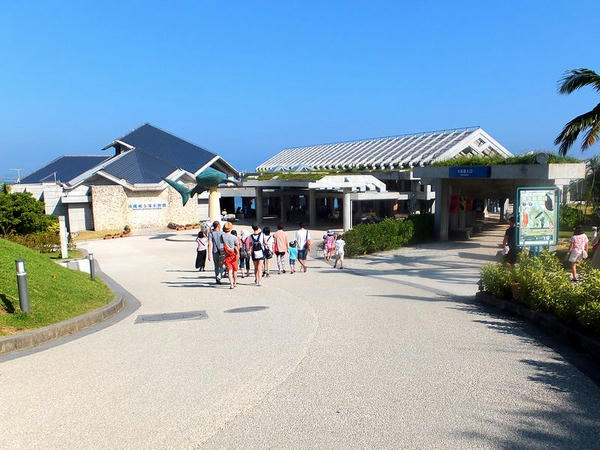 沖縄美ら海水族館入り口付近